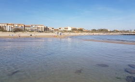 Vue Plage de sable fin