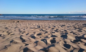 Vue Plage de sable fin