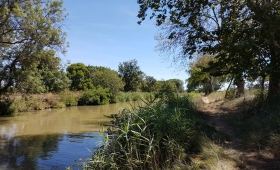 Balade à pied, vtt, cheval, au bord du canal du Midi