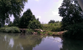 Balade et pénichette sur le canal du Midi